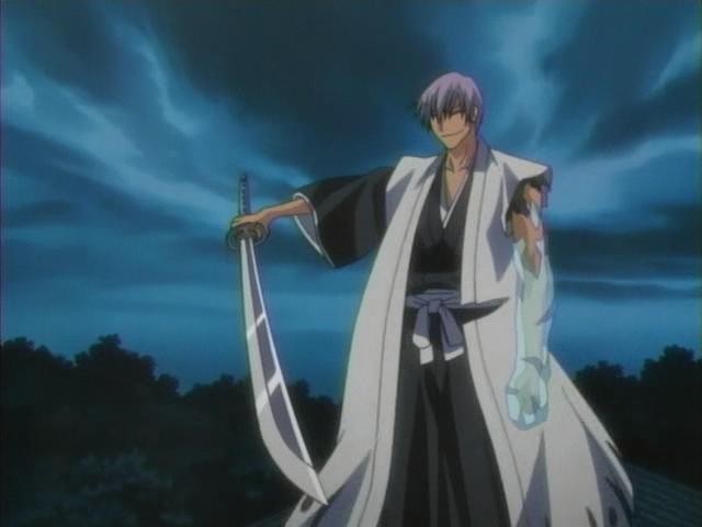 Otaku Gallery  / Anime e Manga / Bleach / Screen Shots / Episodi / 048 - Hitsugaya ruggisci / 108.jpg